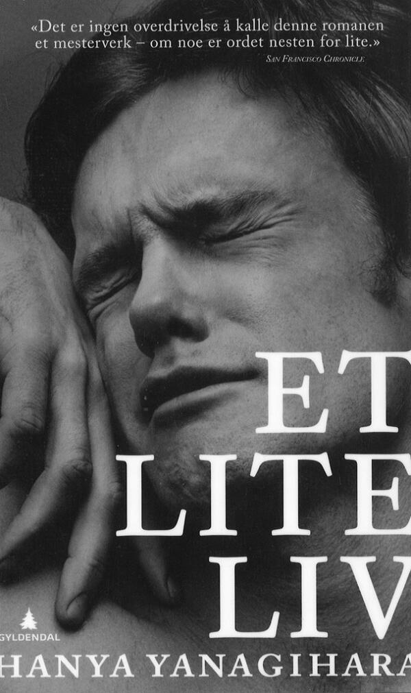 Et lite liv